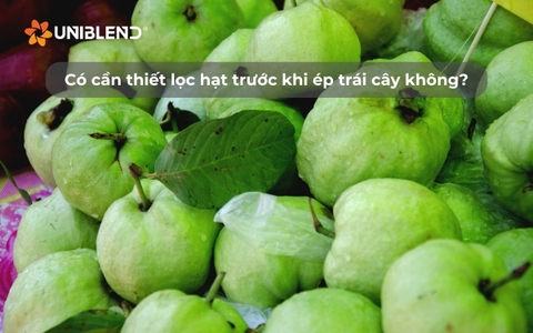 Có cần thiết lọc hạt trước khi ép trái cây không?