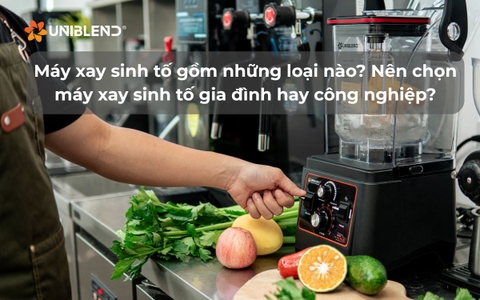 Máy xay sinh tố gồm những loại nào? Nên chọn máy xay sinh tố gia đình hay công nghiệp?