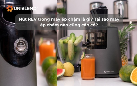 Nút REV trong máy ép chậm là gì? Tại sao máy ép chậm nào cũng cần có?