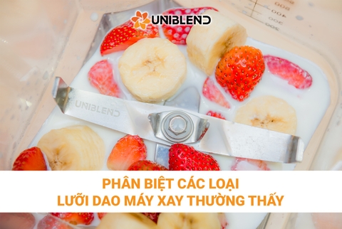Phân biệt các loại lưỡi dao máy xay thường thấy