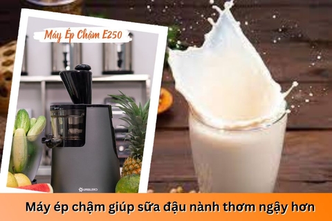 Hướng dẫn làm sữa đậu nành bằng máy ép chậm
