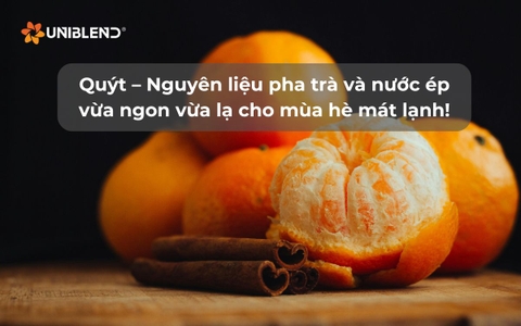 Quýt – Nguyên liệu pha trà và nước ép vừa ngon vừa lạ cho mùa hè mát lạnh!