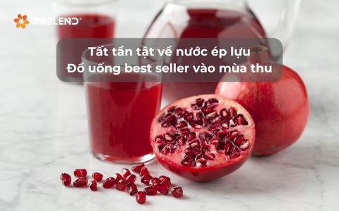 Tất tần tật về nước ép lựu - Đồ uống best seller vào mùa thu