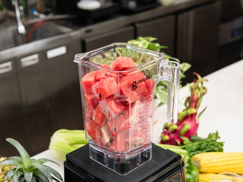 Cối máy xay sinh tố công nghiệp Uniblend