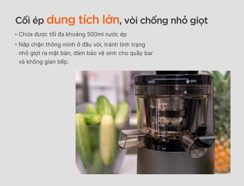 Máy ép chậm Uniblend UBE-250 (model cũ: E250)