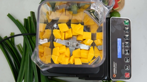 Máy xay công nghiệp Uniblend UB-86