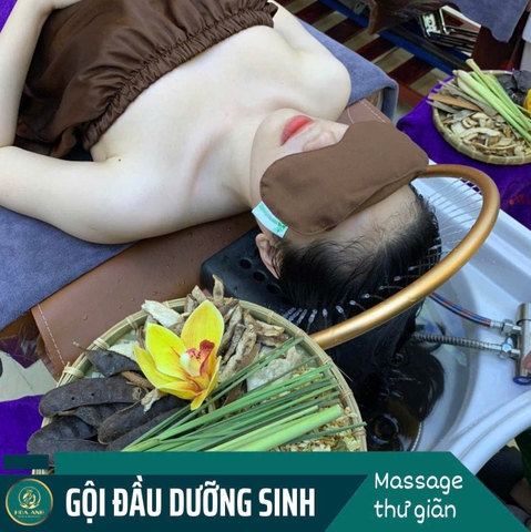 Khóa Học Gội Đầu Dưỡng Sinh – Bước Đệm Thành Công Trong Nghề Làm Đẹp