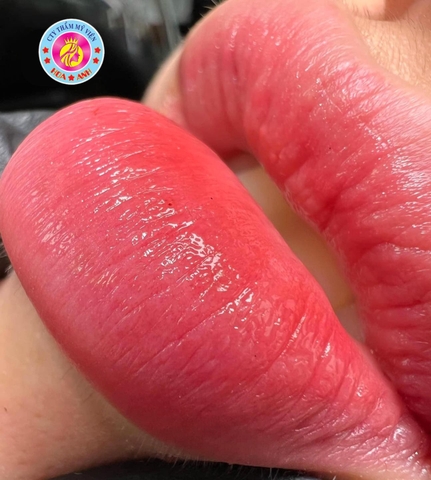 DẤU HIỆU NHẬN BIẾT BẠN ĐÃ PHUN MÔI THÀNH CÔNG- CÁCH CHĂM SÓC MÔI SAO CHO LÊN MÀU ĐẸP