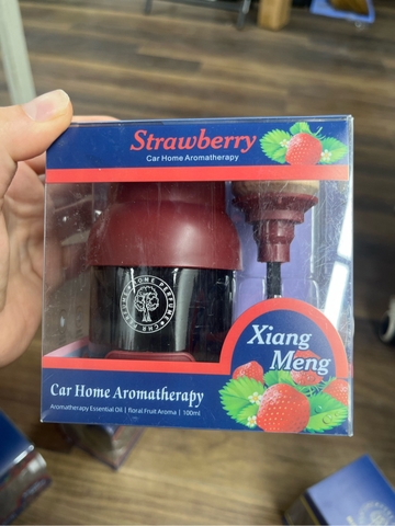 Nước hoa cao cấp nắp gỗ BUSHINECO Home Perfume dung tích