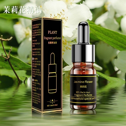(6 mùi) Tinh Dầu PLANT Fragrant Pefume Thơm Tự Nhiên Nhiều Mùi Dung Tích 10ml