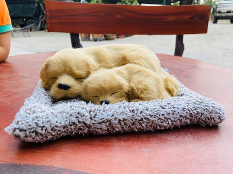 ( loại đôi ) Thú bông than hoạt tính trên ô tô 20x28cm
