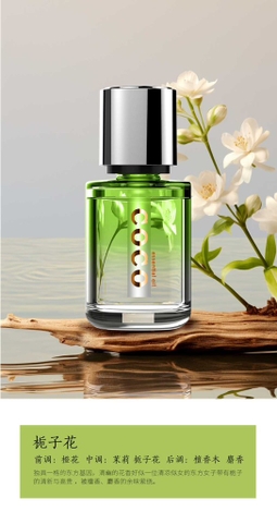 Nước hoa ô tô cao cấp COCO dung tích 160ml 5 mùi hương thơm