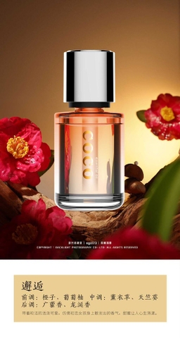 Nước hoa ô tô cao cấp COCO dung tích 160ml 5 mùi hương thơm