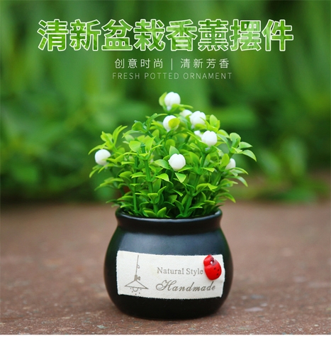 Chậu cây xanh trang trí taplo
