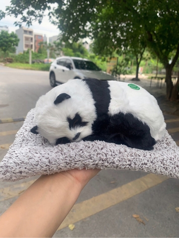 ( Loại đơn ) Thú Bông Than Hoạt Tính