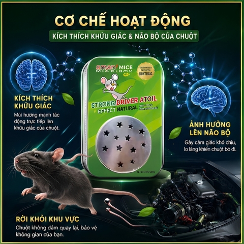 Sáp đuổi chuột 200gram