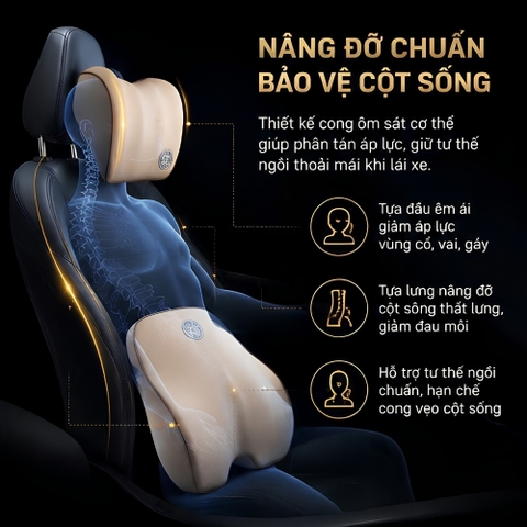 (Bán lẻ) Tựa đầu và tựa lưng ruột cao su non Sport fom mới 2023