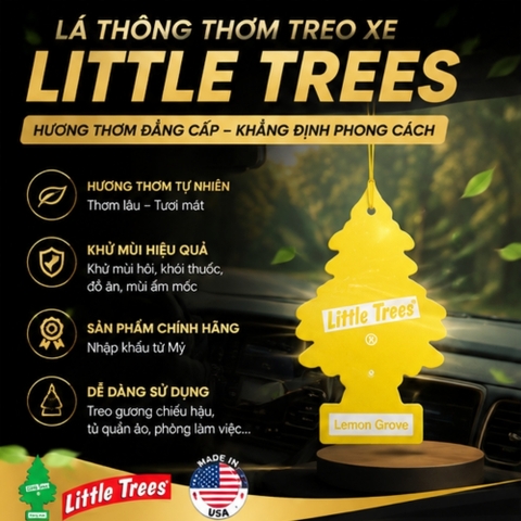 (16 mùi) Lá Thông Thơm Treo xe Loại