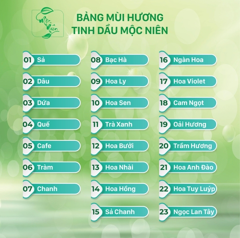 Tinh dầu lục giác Quốc Mộc treo xe ô tô