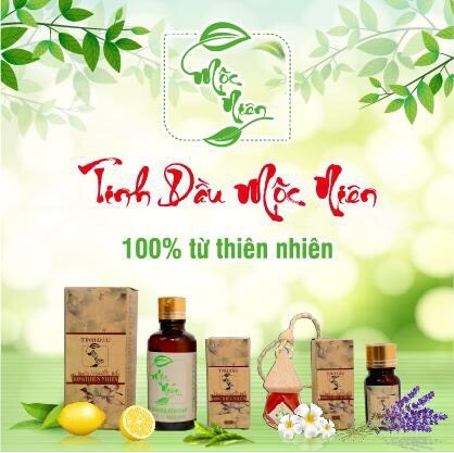 Tinh dầu lục giác Quốc Mộc treo xe ô tô
