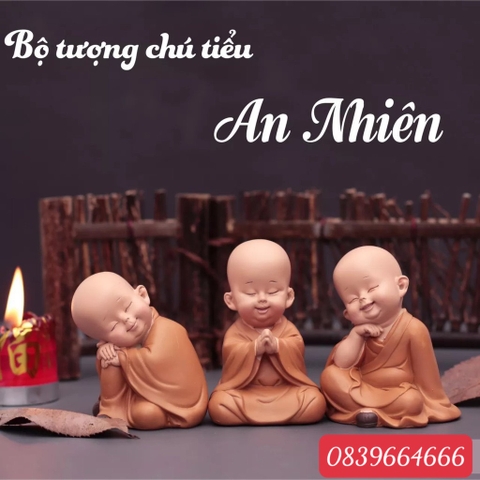 set 12 tượng ô su áo nâu 12 tư thế