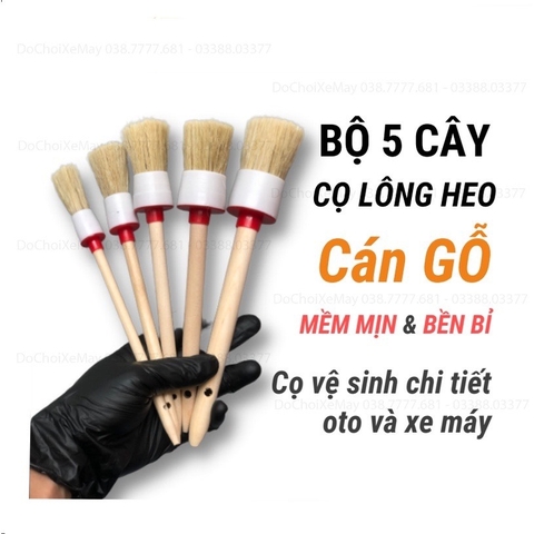 Combo 5 cây cọ chổi rửa xe Lông Heo Rừng