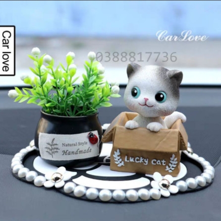Set mèo ngồi hộp mở mắt+ chậu cây đen+ thảm NT hoa cúc