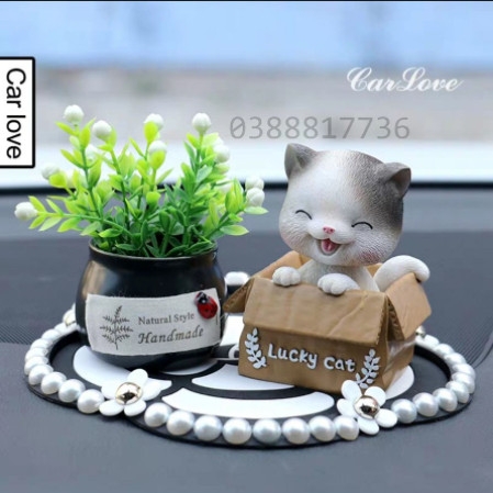 Set mèo ngồi hộp nhắm mắt+ chậu cây đen+ thảm NT hoa cúc