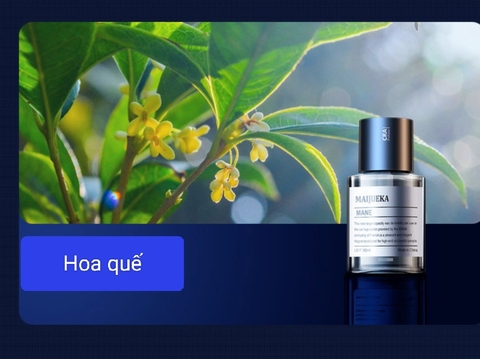 Nước hoa ô tô khuyếch tán tinh dầu tự động 160ml - MAIJUEKA