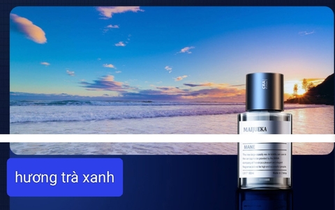 Nước hoa ô tô khuyếch tán tinh dầu tự động 160ml - MAIJUEKA