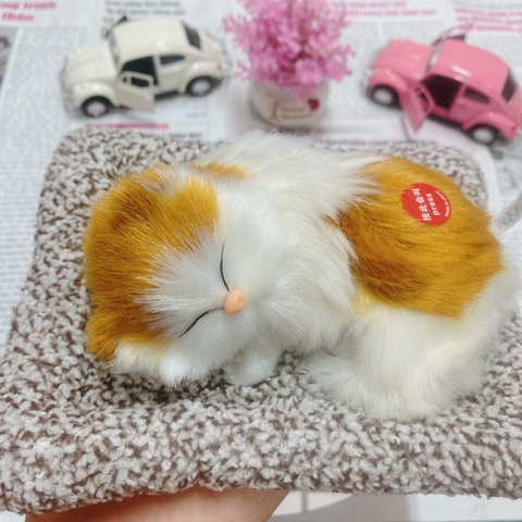 Thú bông than hoạt tính size mini 15x17cm