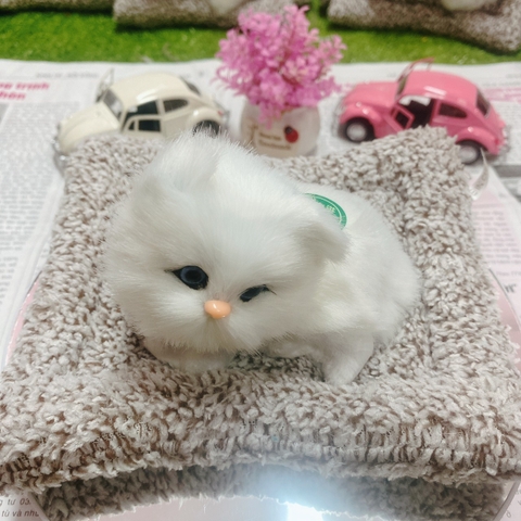 Thú bông than hoạt tính size mini 15x17cm