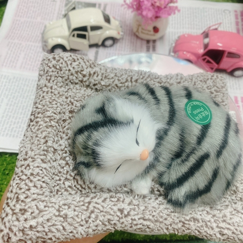 Thú bông than hoạt tính size mini 15x17cm