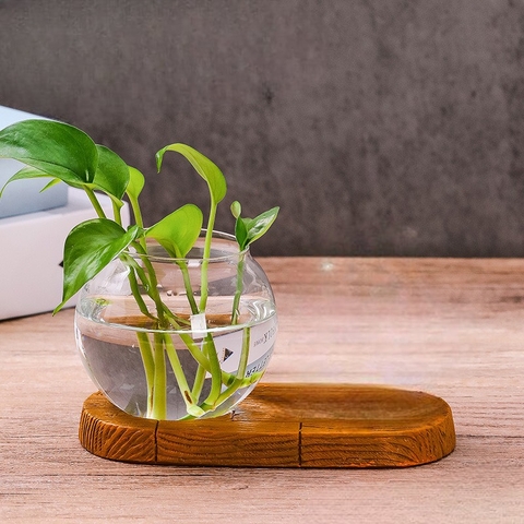 Bình thủy sinh kèm đế mix tượng