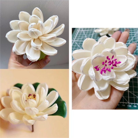 Bình Mộc Liên Hoa Trang Trí Tượng Phật - Trụ Gỗ Mộc Liên Hoa Decor Tượng Phật Tinh Dầu Thơm Cao Cấp