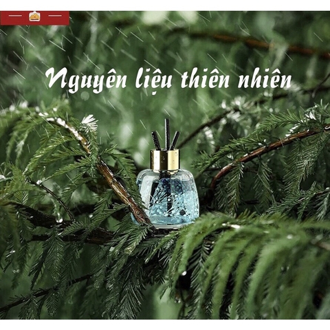 Lọ tinh dầu thơm phòng THALO khử mùi ô tô thiết kế sang trọng có que gỗ khuếch tán 120ml