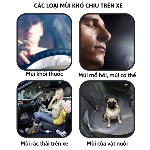 Dung Dịch Xịt Làm Sạch Và Khử Mùi Không Khí Cho Xe Ô Tô, Mùi Hương Tự Nhiên Fantastic Xml 180ml