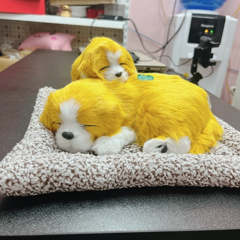 ( loại đôi ) Thú bông than hoạt tính trên ô tô 20x28cm