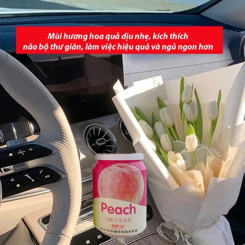 [5 Mùi Hương] Lon Sáp Thơm MiNi Triết Xuất Từ Hoa Quả Thiên Nhiên Cô Đặc Khử Mùi Chống Say xe Mang Lại Hương Thơm Dễ Chịu