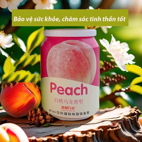 [5 Mùi Hương] Lon Sáp Thơm MiNi Triết Xuất Từ Hoa Quả Thiên Nhiên Cô Đặc Khử Mùi Chống Say xe Mang Lại Hương Thơm Dễ Chịu