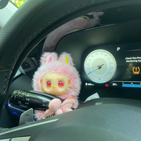 Gấu Bông LABUBU phụ kiện trang trí móc khoá, cần số, cần gạt nước, đai an toàn...