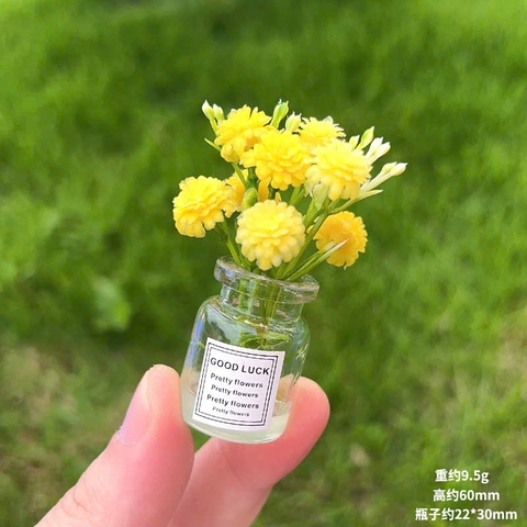 Chậu cây xanh trang trí taplo