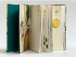 Remarkable plants: Five-year journal