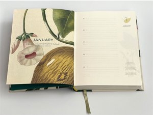 Remarkable plants: Five-year journal