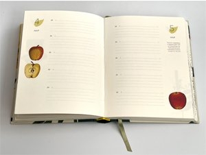 Remarkable plants: Five-year journal