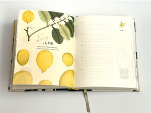 Remarkable plants: Five-year journal