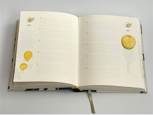 Remarkable plants: Five-year journal