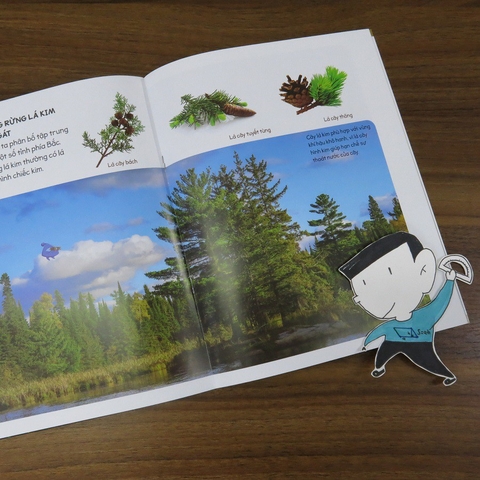 Bộ khám phá tự nhiên quanh em (12c) 540k