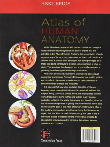 Z- Atlas Of Human Anatomy