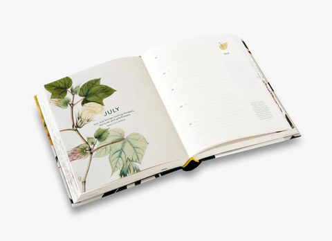 Remarkable plants: Five-year journal